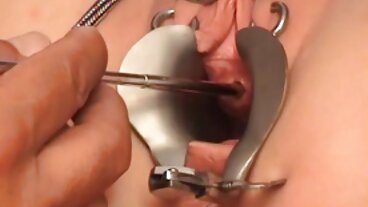 Skönhet Haley Reed gillar hennes Ass Gaped! erotiska filmer